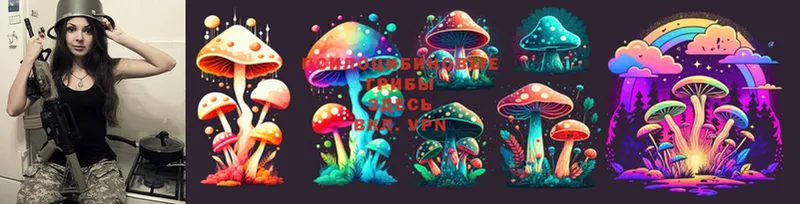 Псилоцибиновые грибы Psilocybe  Орск 